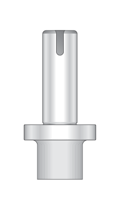 PAPSA05 Stempel Type 33,0 mm Fully Guided P9 Quad D